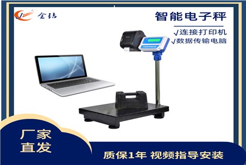 電子秤 打印數據傳輸電腦